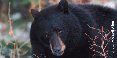 b2f9a-fromnsbbnbrochure1