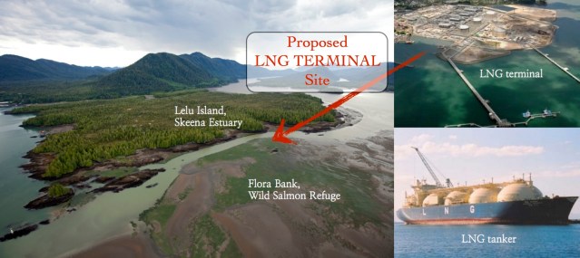 lelu-island-proposal-graphic