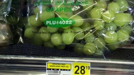 nunavut-food-prices-sanikiluaq-28-grapes-january-2016