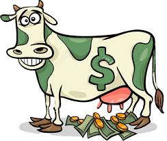 cash cow